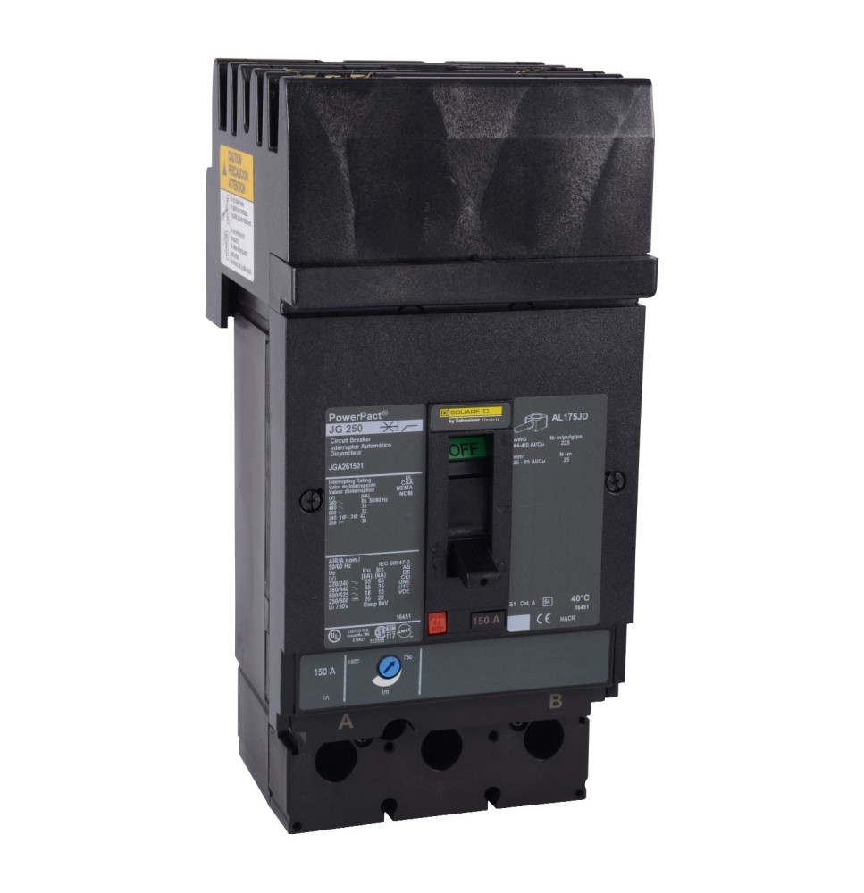 JGA262501 - Square D 250 Amp 2 Pole 600 Volt Molded Case Circuit Breaker