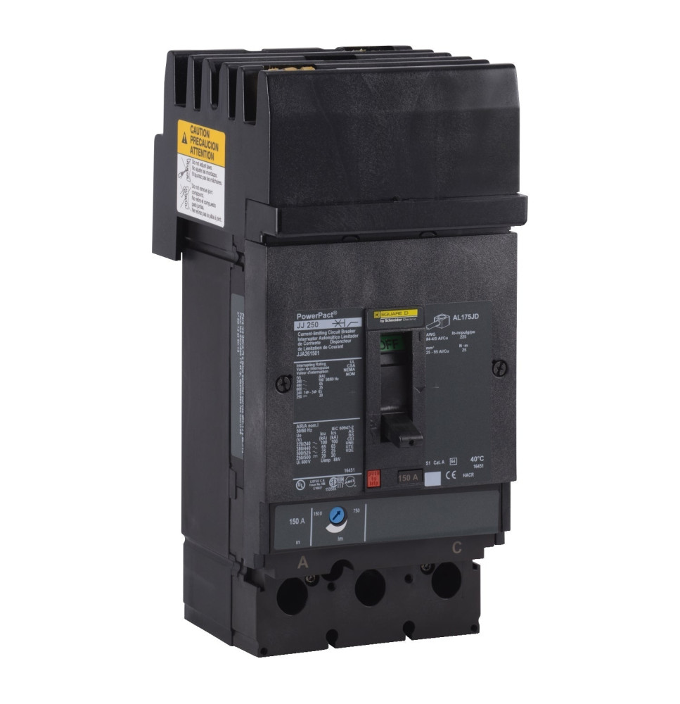 JJA262501 - Square D 250 Amp 2 Pole 600 Volt Molded Case Circuit Breaker