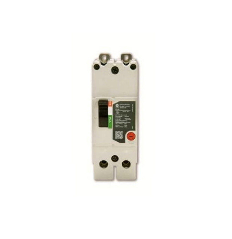 TEYL2060B - GE 60 Amp 2 Pole 480 Volt Bolt-On Molded Case Circuit Breaker