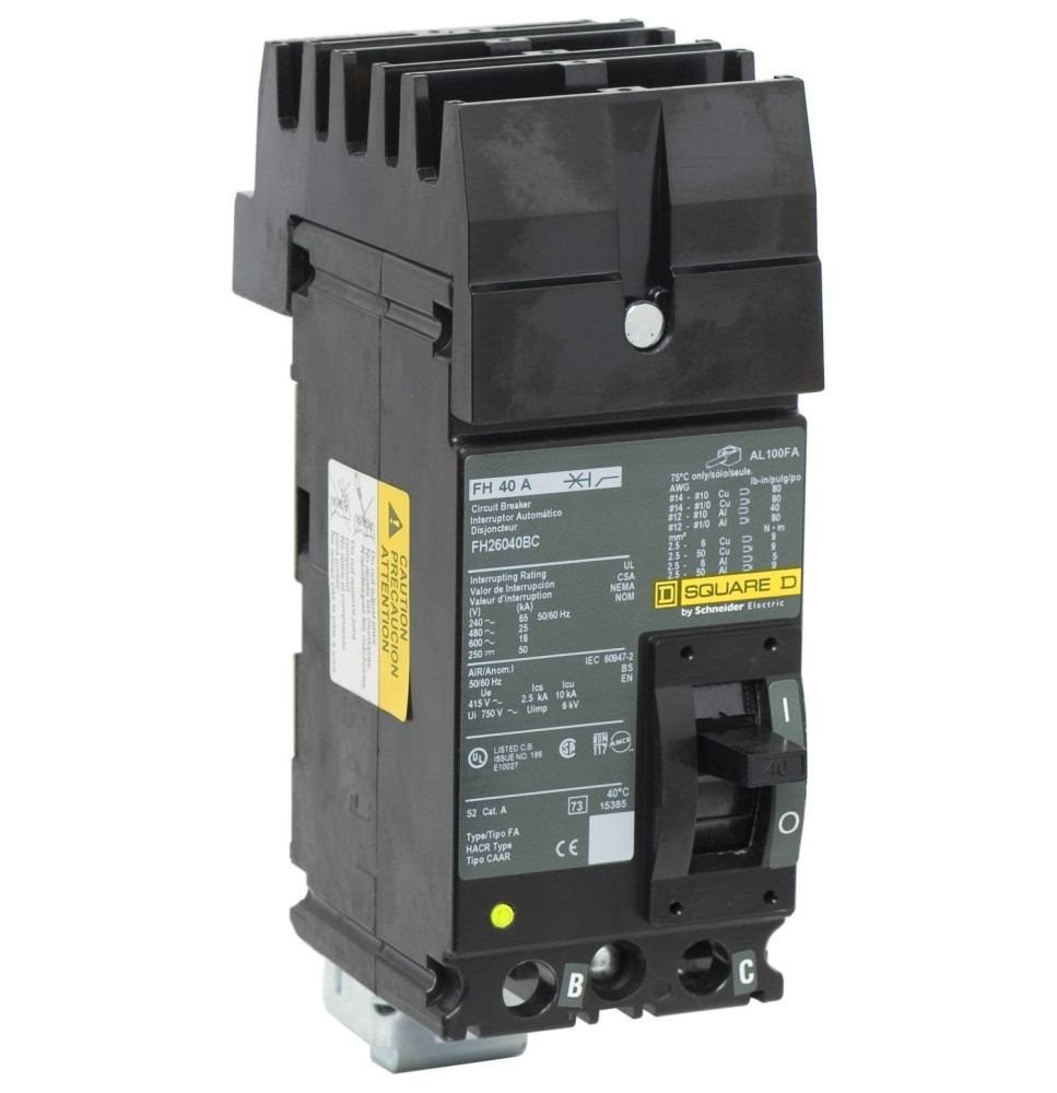 FH26040BC - Square D 40 Amp 2 Pole 600 Volt Molded Case Circuit Breaker