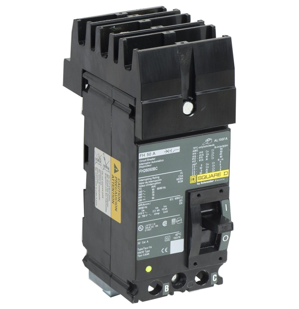 FH26050BC - Square D 50 Amp 2 Pole 600 Volt Molded Case Circuit Breaker