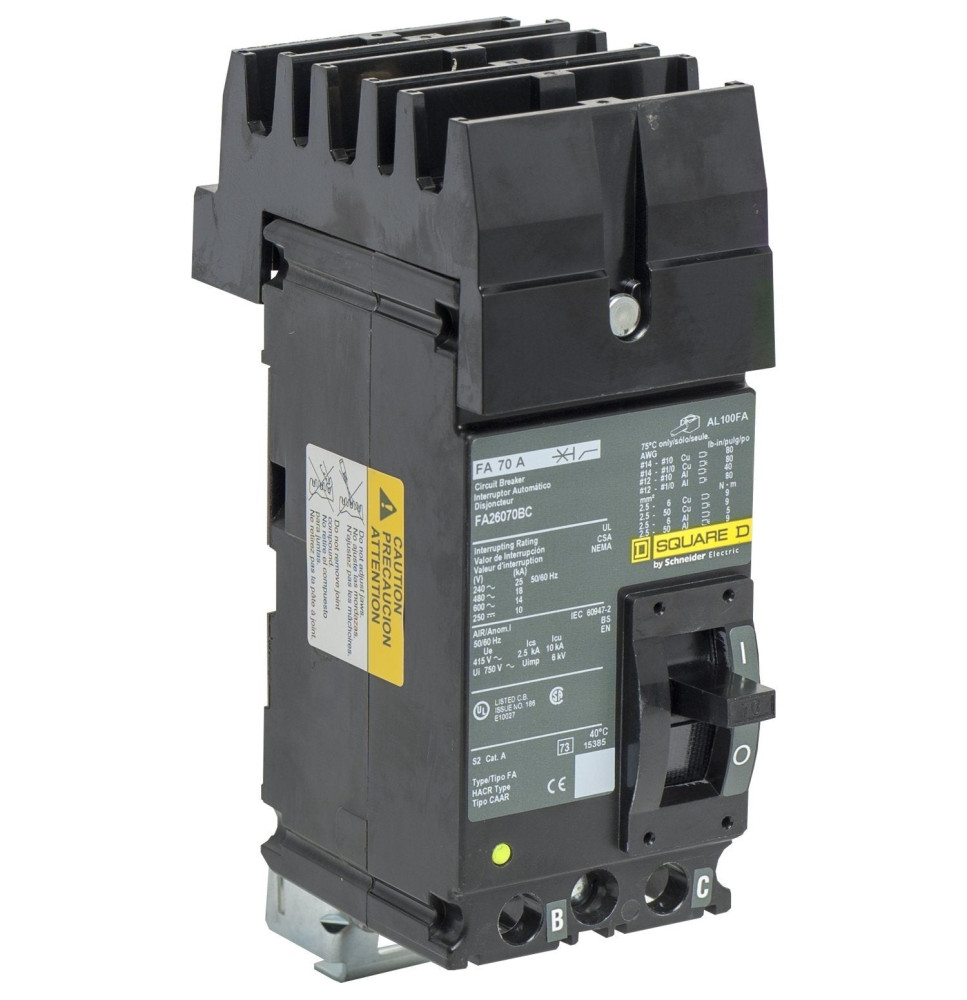 FH26060BC - Square D 60 Amp 2 Pole 600 Volt Molded Case Circuit Breaker